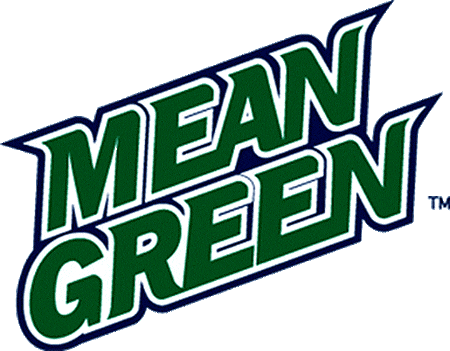 North Texas Mean Green 2003-2004 Wordmark Logo diy fabric transfer